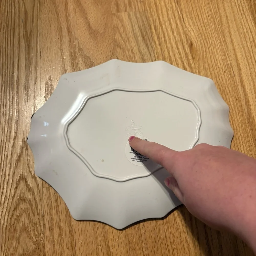 Target Spider Web Dinner Plate - White and Black Halloween